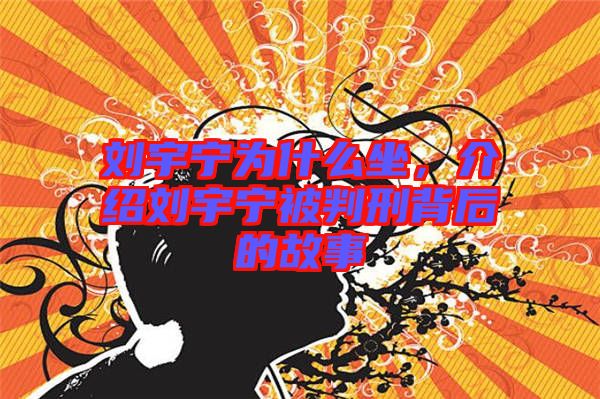 劉宇寧為什么坐，介紹劉宇寧被判刑背后的故事