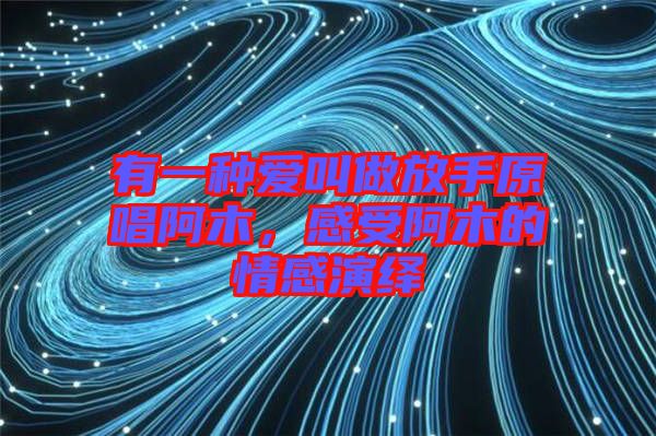 有一種愛叫做放手原唱阿木，感受阿木的情感演繹