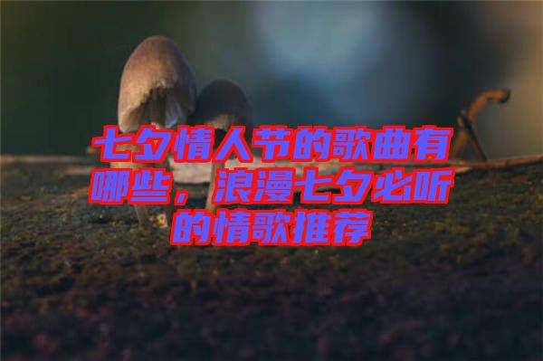 七夕情人節(jié)的歌曲有哪些，浪漫七夕必聽的情歌推薦