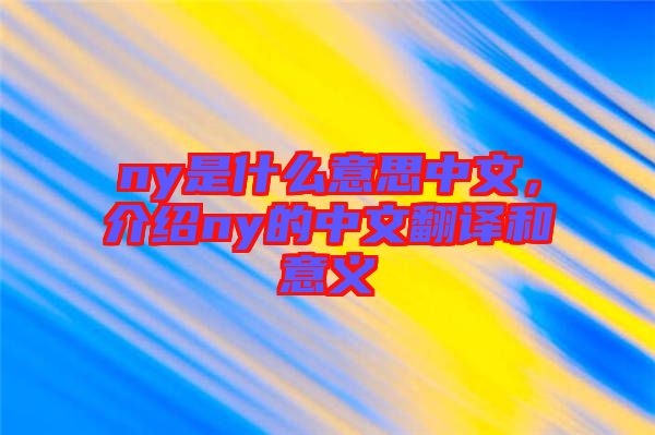 ny是什么意思中文，介紹ny的中文翻譯和意義