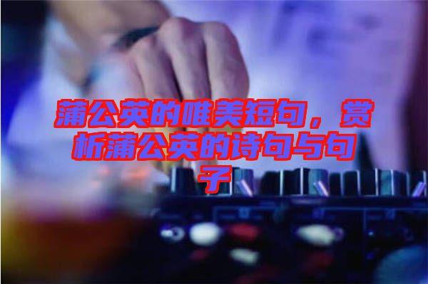 蒲公英的唯美短句，賞析蒲公英的詩句與句子