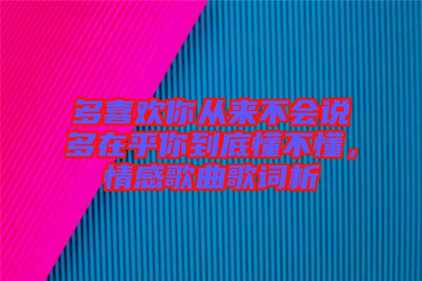 多喜歡你從來(lái)不會(huì)說(shuō)多在乎你到底懂不懂，情感歌曲歌詞析