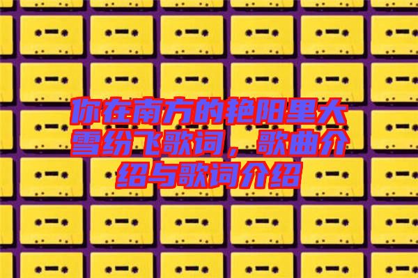 你在南方的艷陽(yáng)里大雪紛飛歌詞，歌曲介紹與歌詞介紹
