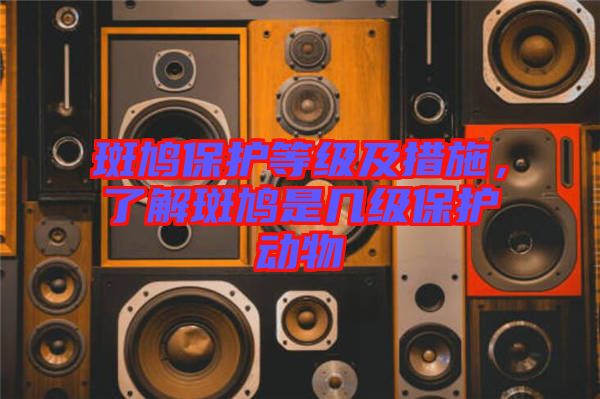 斑鳩保護等級及措施，了解斑鳩是幾級保護動物