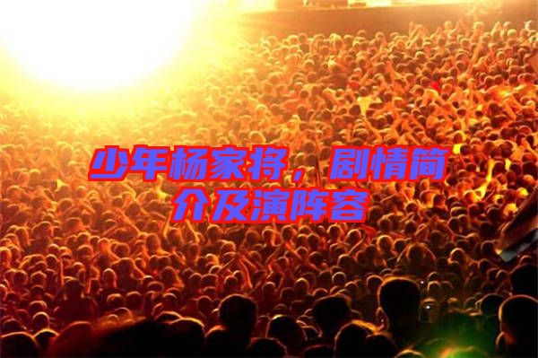 少年楊家將，劇情簡(jiǎn)介及演陣容