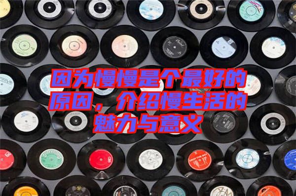 因?yàn)槁莻€(gè)最好的原因，介紹慢生活的魅力與意義
