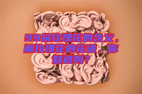 99朵玫瑰花的含義，解玫瑰花的花語，你知道嗎？