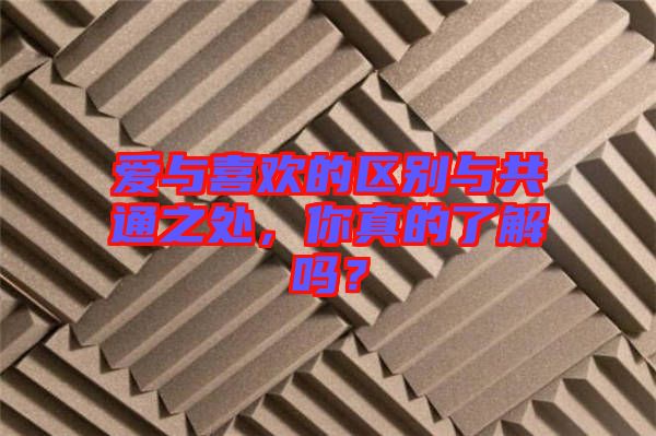 愛與喜歡的區(qū)別與共通之處，你真的了解嗎？