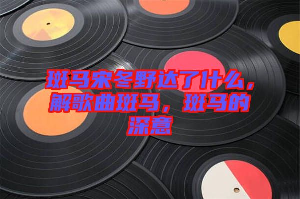 斑馬宋冬野達(dá)了什么，解歌曲斑馬，斑馬的深意
