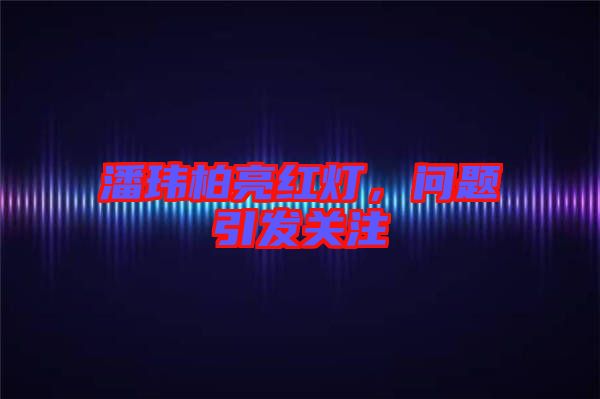 潘瑋柏亮紅燈，問題引發(fā)關(guān)注