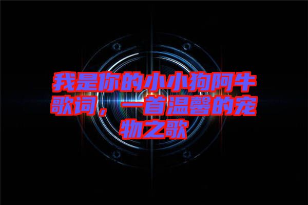 我是你的小小狗阿牛歌詞，一首溫馨的寵物之歌