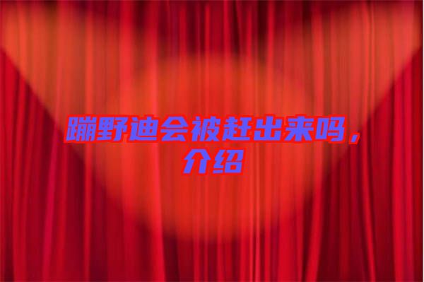 蹦野迪會被趕出來嗎，介紹
