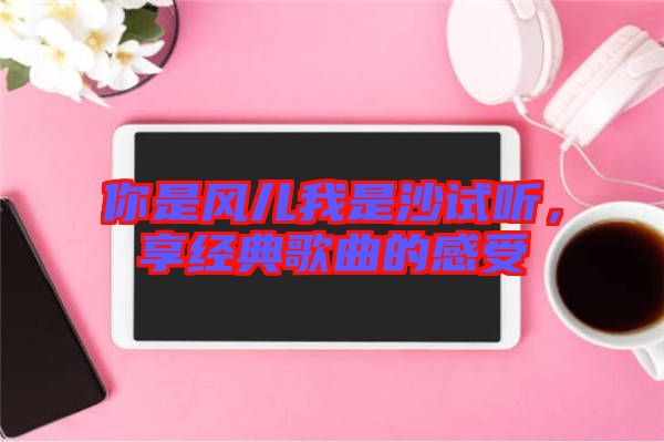 你是風(fēng)兒我是沙試聽(tīng)，享經(jīng)典歌曲的感受