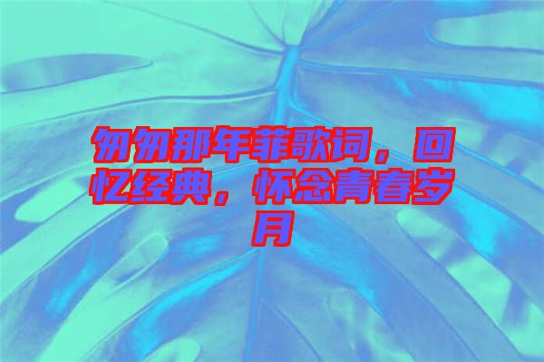 匆匆那年菲歌詞，回憶經(jīng)典，懷念青春歲月
