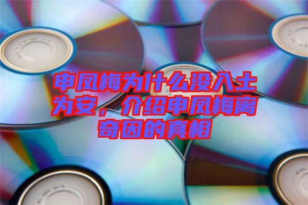 申鳳梅為什么沒入土為安，介紹申鳳梅離奇因的真相