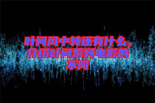 葉問風(fēng)中轉(zhuǎn)還有什么，介紹葉問系列電影的不同