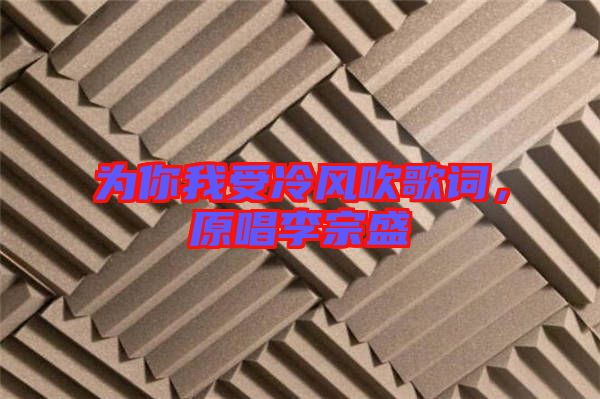為你我受冷風(fēng)吹歌詞，原唱李宗盛