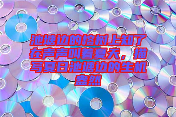 池塘邊的榕樹上知了在聲聲叫著夏天，描寫夏日池塘邊的生機(jī)盎然