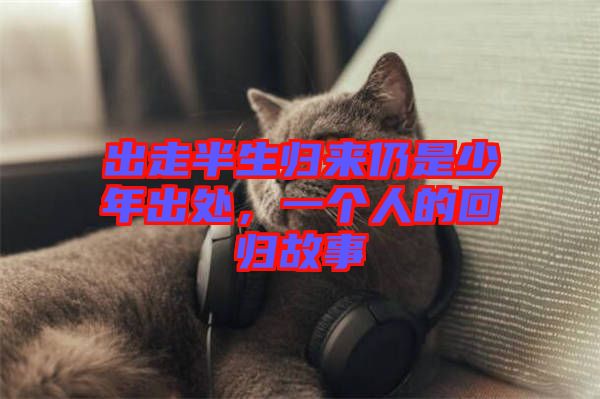 出走半生歸來仍是少年出處，一個人的回歸故事