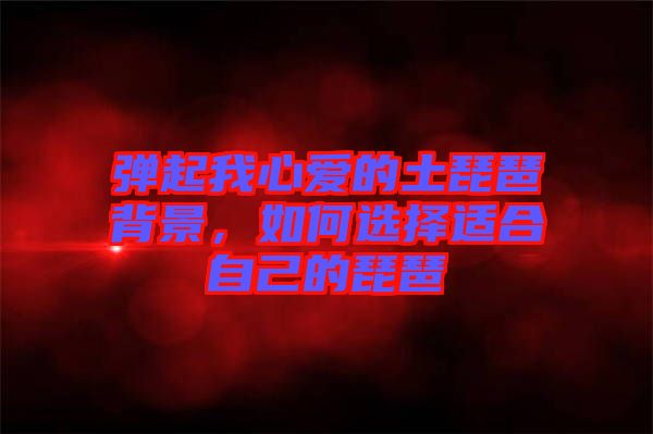 彈起我心愛的土琵琶背景，如何選擇適合自己的琵琶