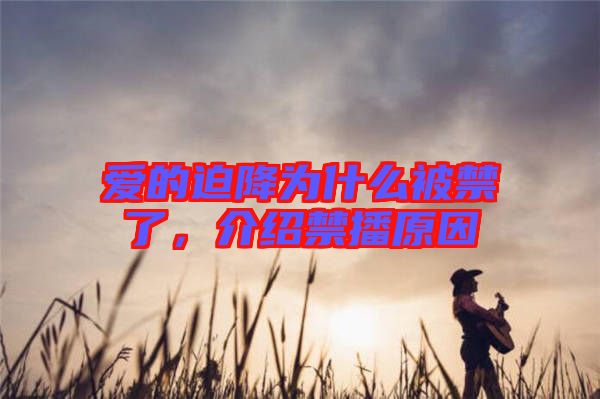愛(ài)的迫降為什么被禁了，介紹禁播原因