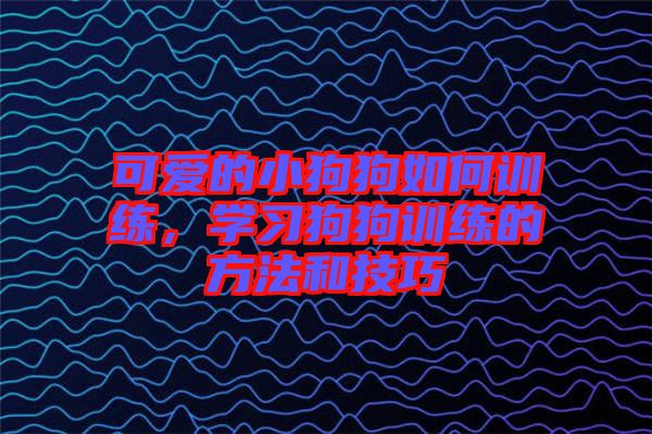 可愛(ài)的小狗狗如何訓(xùn)練，學(xué)習(xí)狗狗訓(xùn)練的方法和技巧