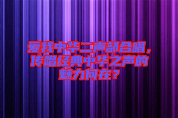 愛我中華二聲部合唱，傳唱經(jīng)典中華之聲的魅力何在？