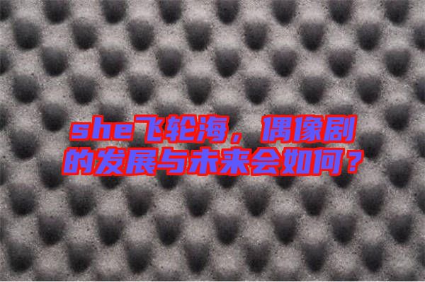 she飛輪海，偶像劇的發(fā)展與未來會(huì)如何？