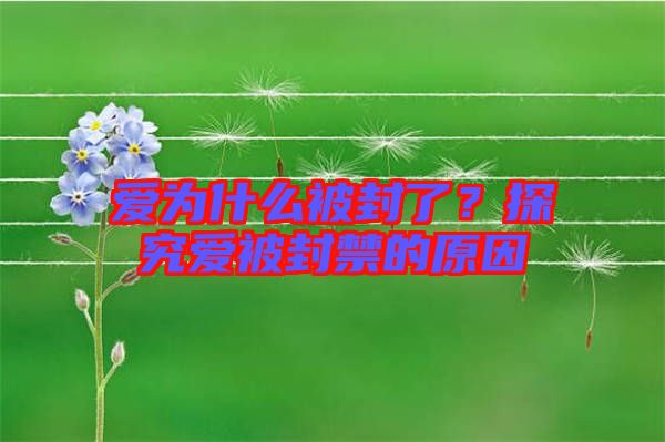 愛為什么被封了？探究愛被封禁的原因