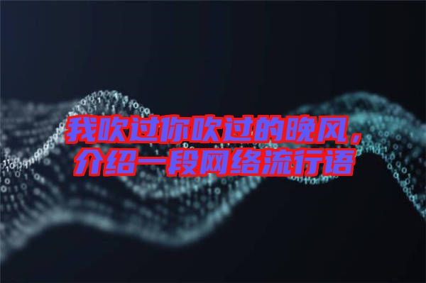 我吹過你吹過的晚風(fēng)，介紹一段網(wǎng)絡(luò)流行語