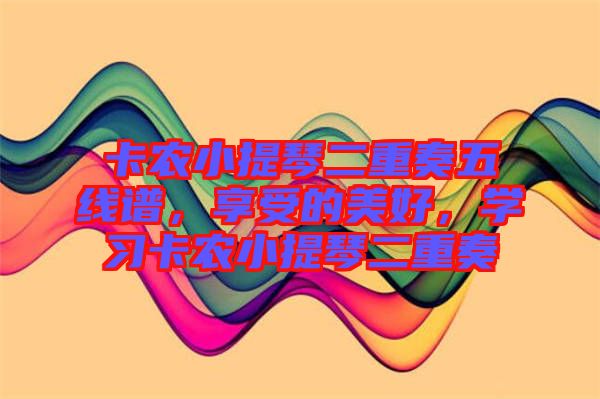 卡農(nóng)小提琴二重奏五線譜，享受的美好，學(xué)習(xí)卡農(nóng)小提琴二重奏