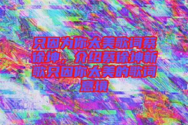 只因為你太美歌詞蔡徐坤，介紹蔡徐坤新歌只因你太美的歌詞意境