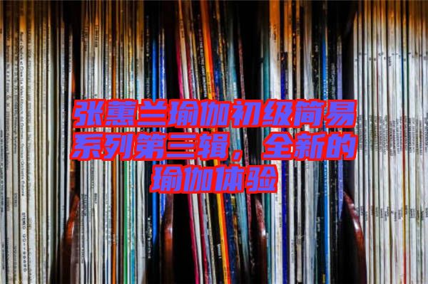 張蕙蘭瑜伽初級(jí)簡(jiǎn)易系列第三輯，全新的瑜伽體驗(yàn)