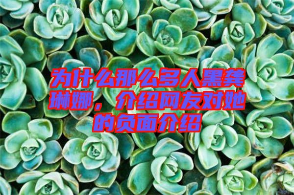 為什么那么多人黑龔琳娜，介紹網(wǎng)友對(duì)她的負(fù)面介紹
