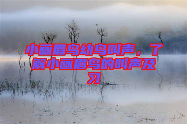 小畫眉鳥幼鳥叫聲，了解小畫眉鳥的叫聲及習(xí)