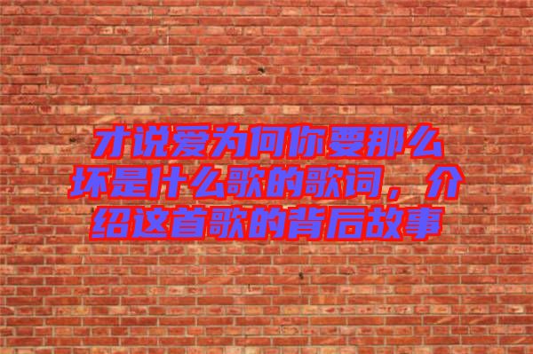 才說愛為何你要那么壞是什么歌的歌詞，介紹這首歌的背后故事
