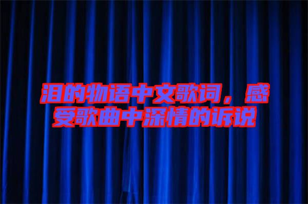 淚的物語(yǔ)中文歌詞，感受歌曲中深情的訴說(shuō)