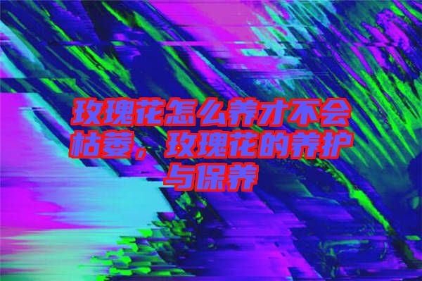 玫瑰花怎么養(yǎng)才不會(huì)枯萎，玫瑰花的養(yǎng)護(hù)與保養(yǎng)