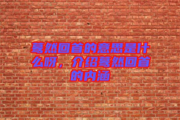 驀然回首的意思是什么呀，介紹驀然回首的內(nèi)涵
