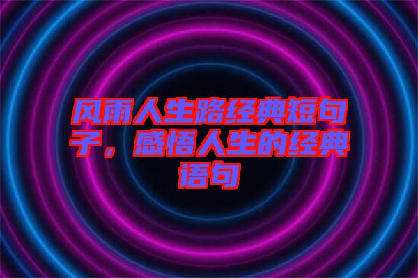 風(fēng)雨人生路經(jīng)典短句子，感悟人生的經(jīng)典語句