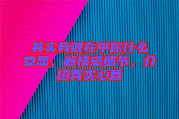 其實我很在乎你什么意思，解情感細節(jié)，介紹真實心意