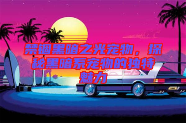 禁錮黑暗之光寵物，探秘黑暗系寵物的獨(dú)特魅力