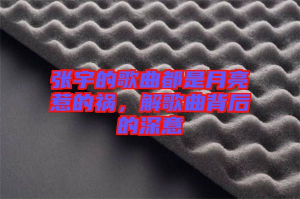 張宇的歌曲都是月亮惹的禍，解歌曲背后的深意