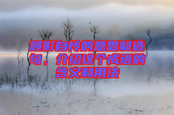 顧影自憐的意思和造句，介紹這個(gè)成語的含義和用法