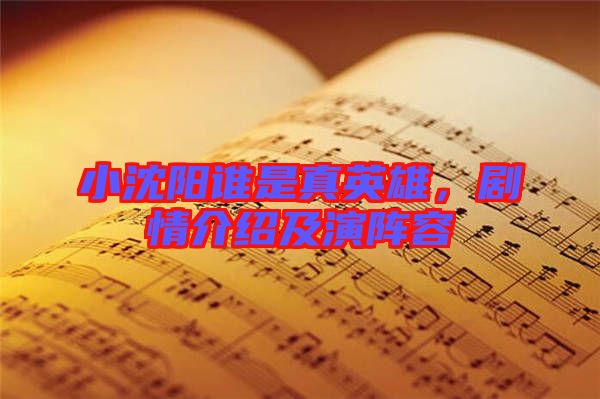 小沈陽誰是真英雄，劇情介紹及演陣容