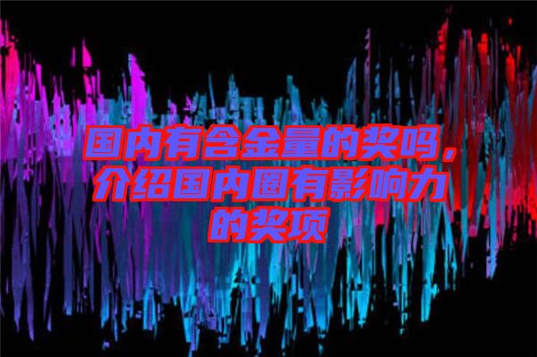 國內(nèi)有含金量的獎嗎，介紹國內(nèi)圈有影響力的獎項