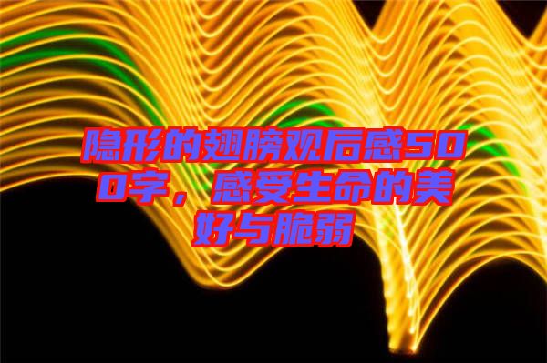 隱形的翅膀觀后感500字，感受生命的美好與脆弱