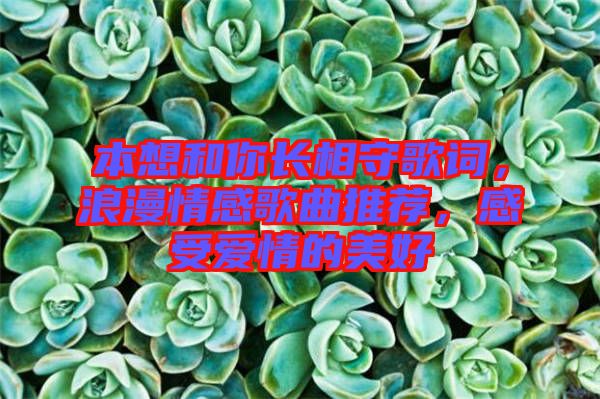 本想和你長(zhǎng)相守歌詞，浪漫情感歌曲推薦，感受愛情的美好