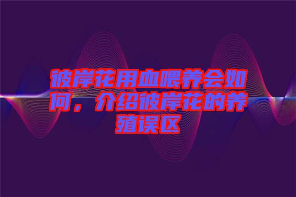 彼岸花用血喂養(yǎng)會如何，介紹彼岸花的養(yǎng)殖誤區(qū)