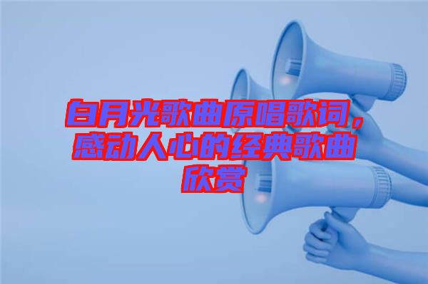 白月光歌曲原唱歌詞，感動人心的經典歌曲欣賞